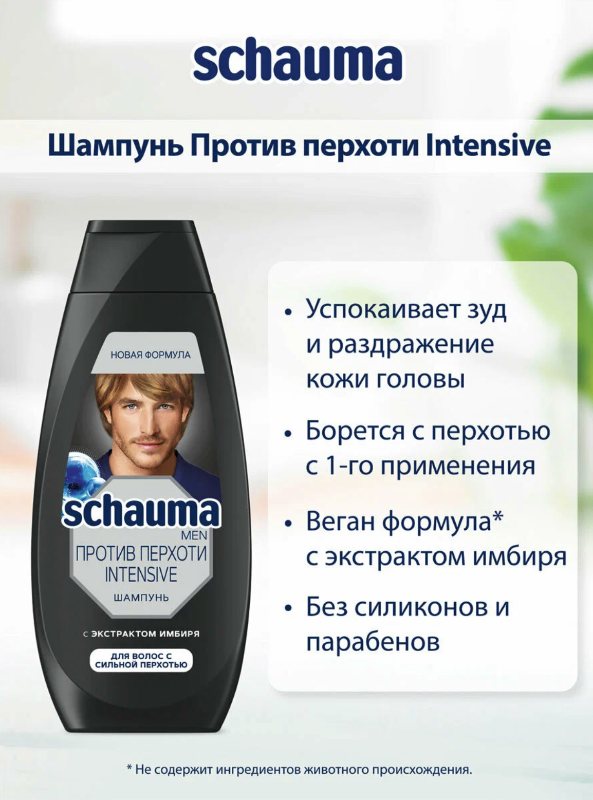 картинка Шаума / Schauma Men - Шампунь для волос мужской Против перхоти Intensive экстракт имбиря 360 мл