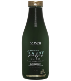   / Beaver -    Essential oil of Tea Tree purifying 60   